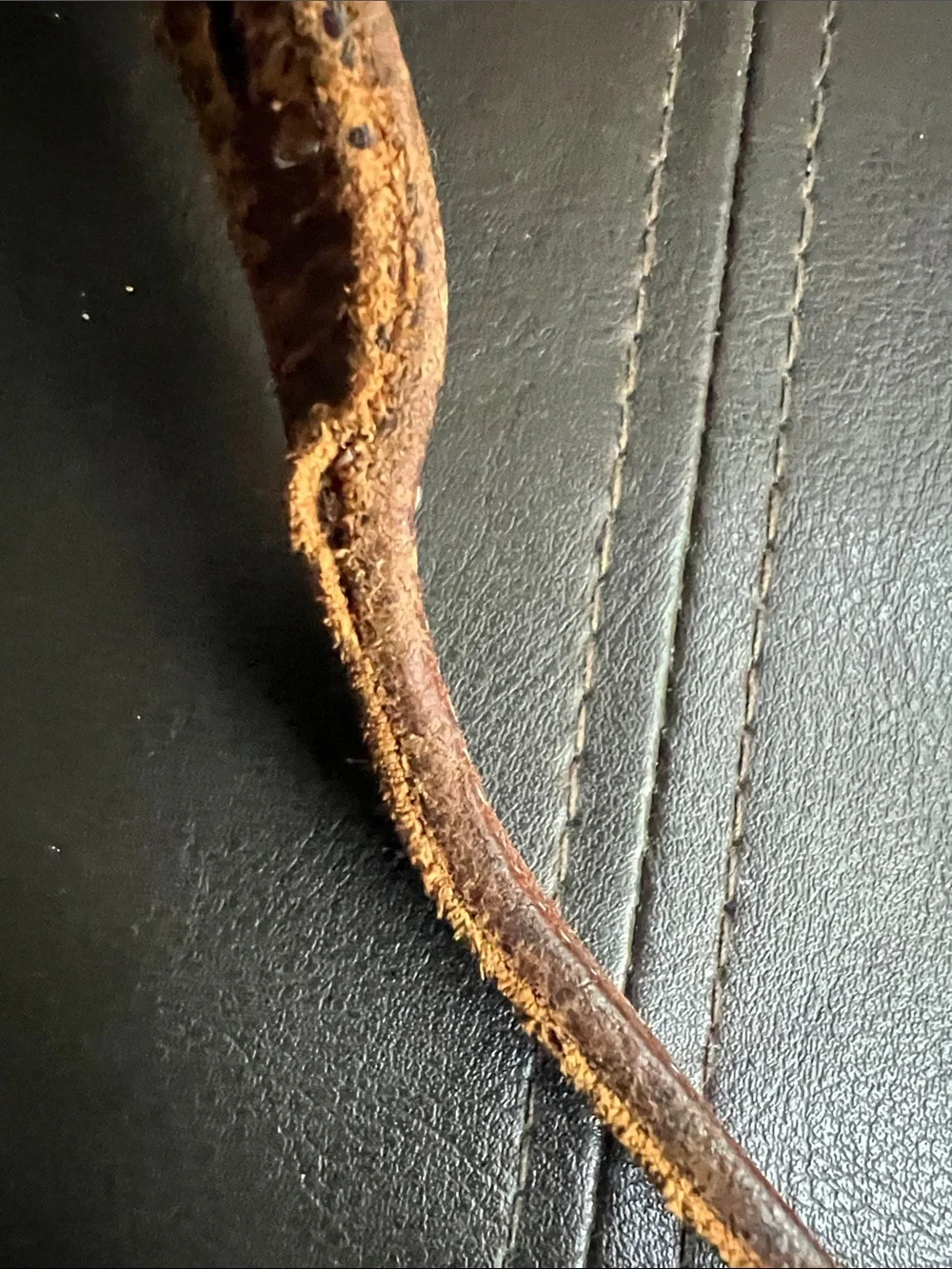 Martin Dingman Vintage Brown Alligator Leather Belt with Silver Accents Size 42